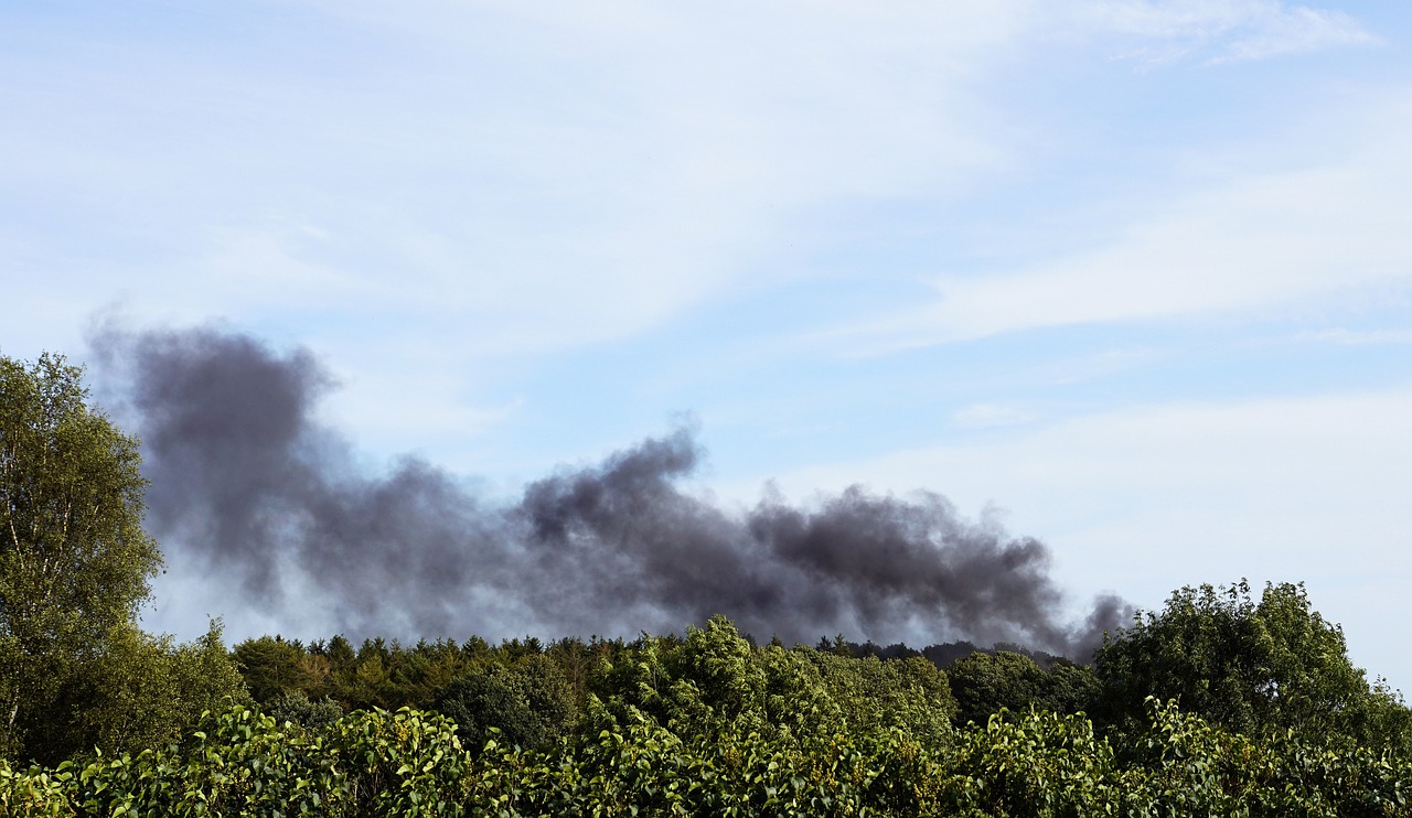 Disaster Management - A Review of Best Practices